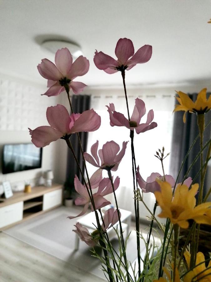 Sweet Central Apartment ,In The City Center إغير المظهر الخارجي الصورة